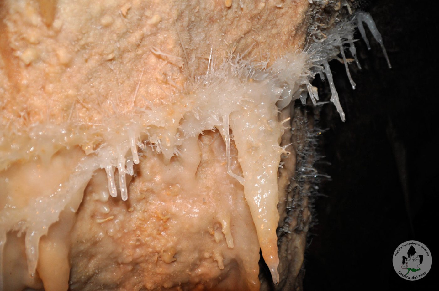 Interno illuminato della Grotta del Fico a Baunei, Ogliastra