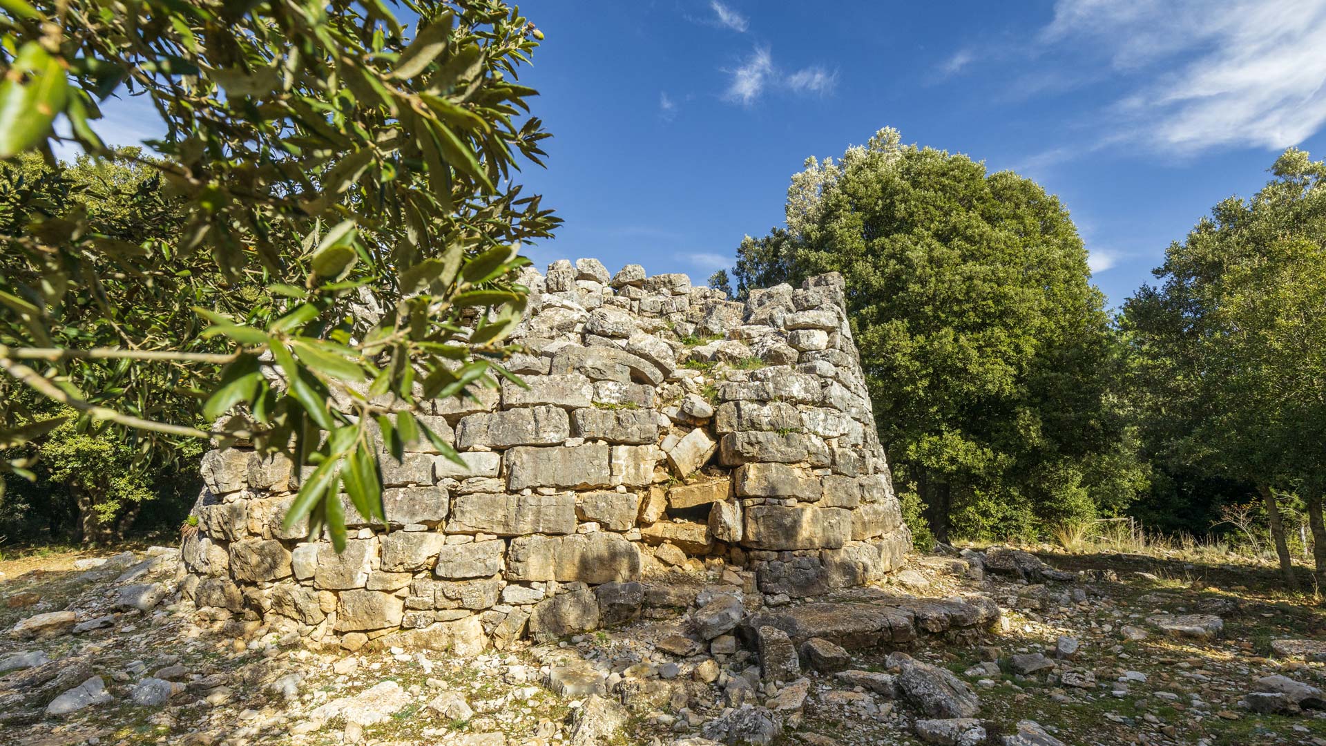 Stone nuraghe surrounded by olive and oak trees under a blue sky, Ogliastra