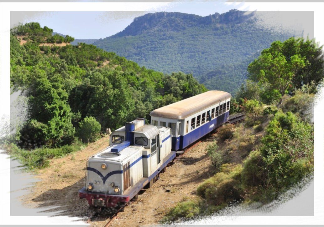 Trenino Verde in viaggio tra i boschi dell'Ogliastra