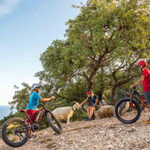 BedBike_Baunei