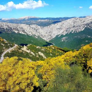 Chintula - Gorropu - Urzulei