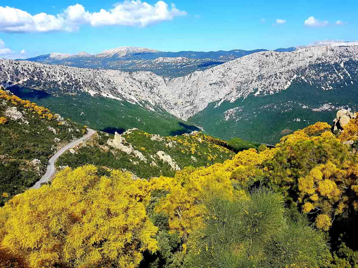 Chintula - Gorropu - Urzulei