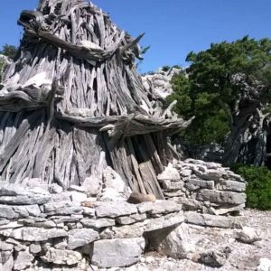 Salinas_Escursioni_Baunei