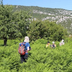 Salinas_Escursioni_Baunei